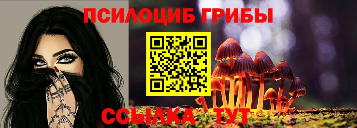 Псилоцибиновые грибы мухоморы Алапаевск