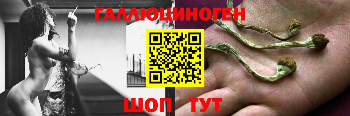 что такое наркотик  Вход с VPN  Галлюциногенные грибы мицелий  Алапаевск  Псилоцибиновые грибы Magic Shrooms 